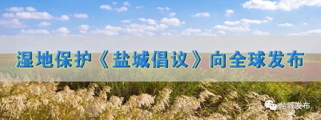 2021年盐城盐南高新区教师招聘,盐城范围内学校招聘老师