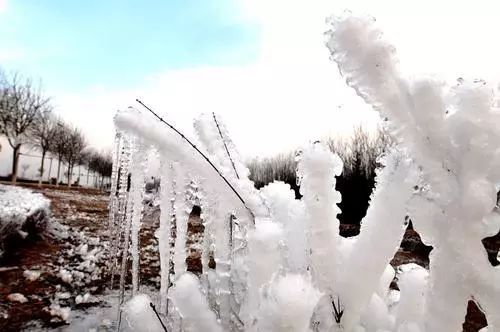 冬日美好请查收,冬日宁夏美景