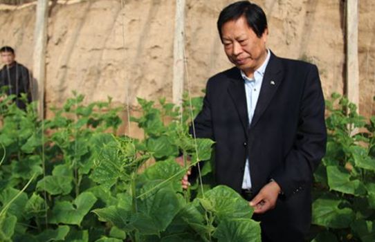 亲土一号骗人,亲土1号