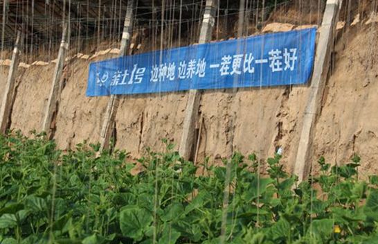 亲土一号骗人,亲土1号