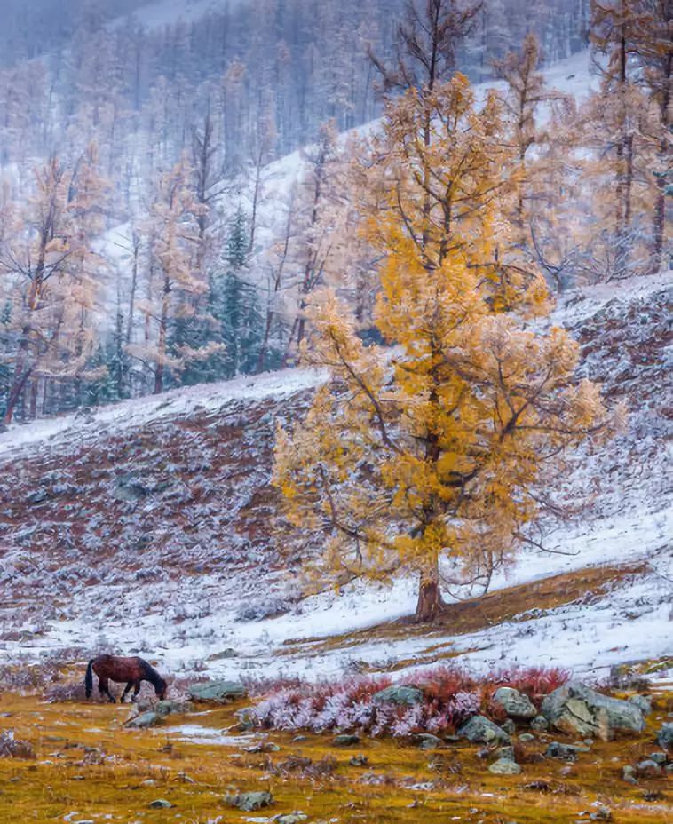 这里的冬天曾是“禁地”,现在是人神共享的冰雪秘境,机票低至¥500!