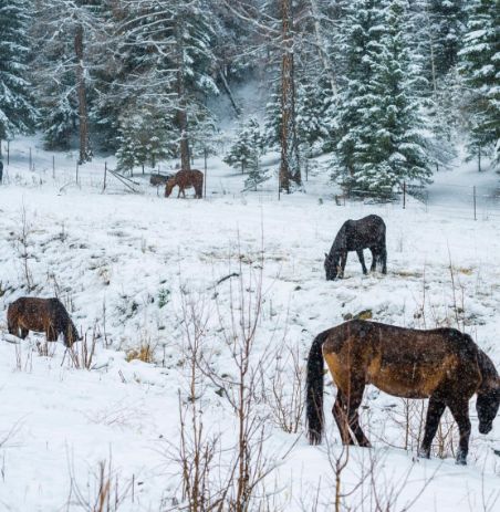 这里的冬天曾是“禁地”,现在是人神共享的冰雪秘境,机票低至¥500!