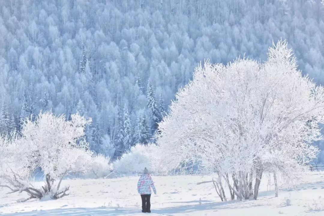 这里的冬天曾是“禁地”,现在是人神共享的冰雪秘境,机票低至¥500!