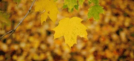 已经停经几年了又出血怎么回事,停经一年左右又有少量出血