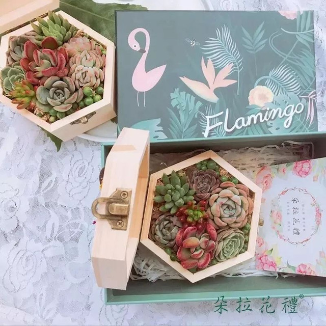 温州奢华酒店,温州龙湾最豪华的婚礼酒店