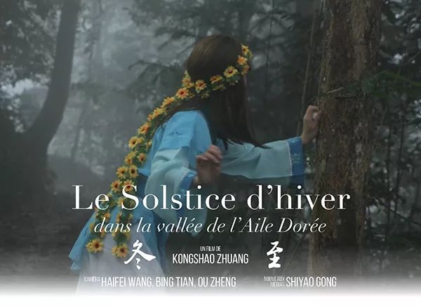 访谈|「开山大师兄」庄孔韶:纵游学海,君子不器