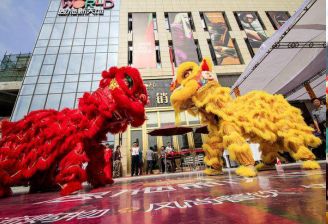 以国际化的视野重塑泉州，11月24日，东海湾·门第全城启幕