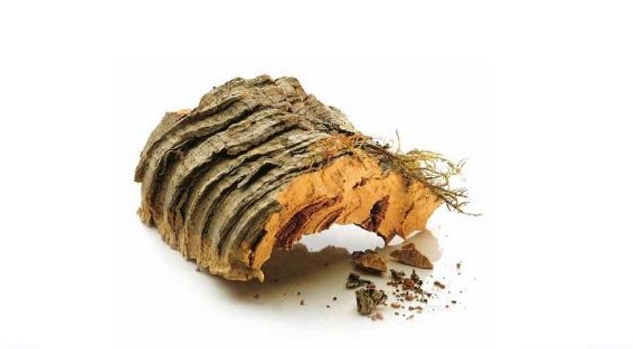 罗马人发明了左右脚的鞋,欧洲人古代用什么做鞋底