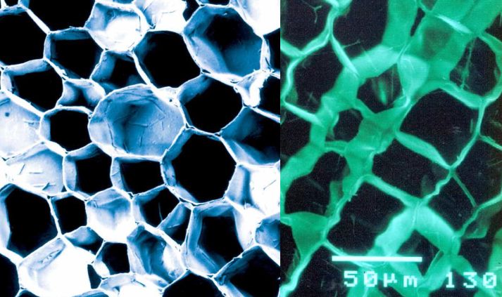 罗马人发明了左右脚的鞋,欧洲人古代用什么做鞋底