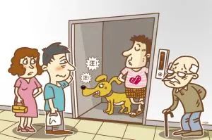 小区养烈性犬拨打12345,养犬投诉哪个部门