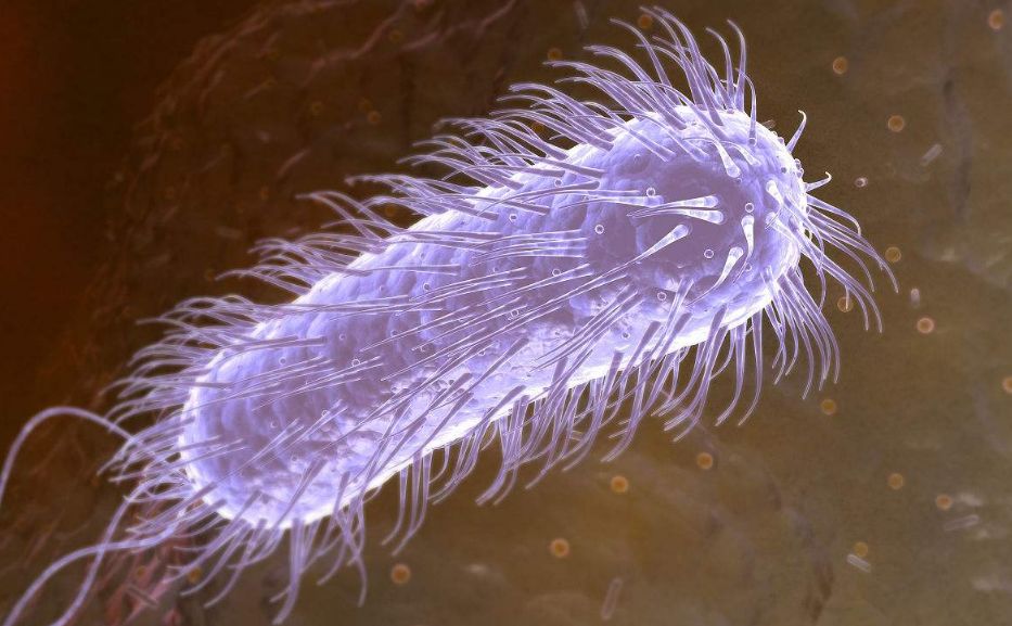 身体有异味是大病的前兆吗,体内早上有怪味是什么情况