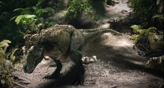 小盗龙偷蛋吗,小盗龙的真面目