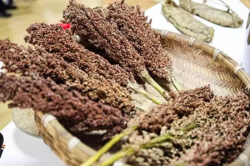 人民小酒高端品牌,人民小酒口感最好的是哪一款