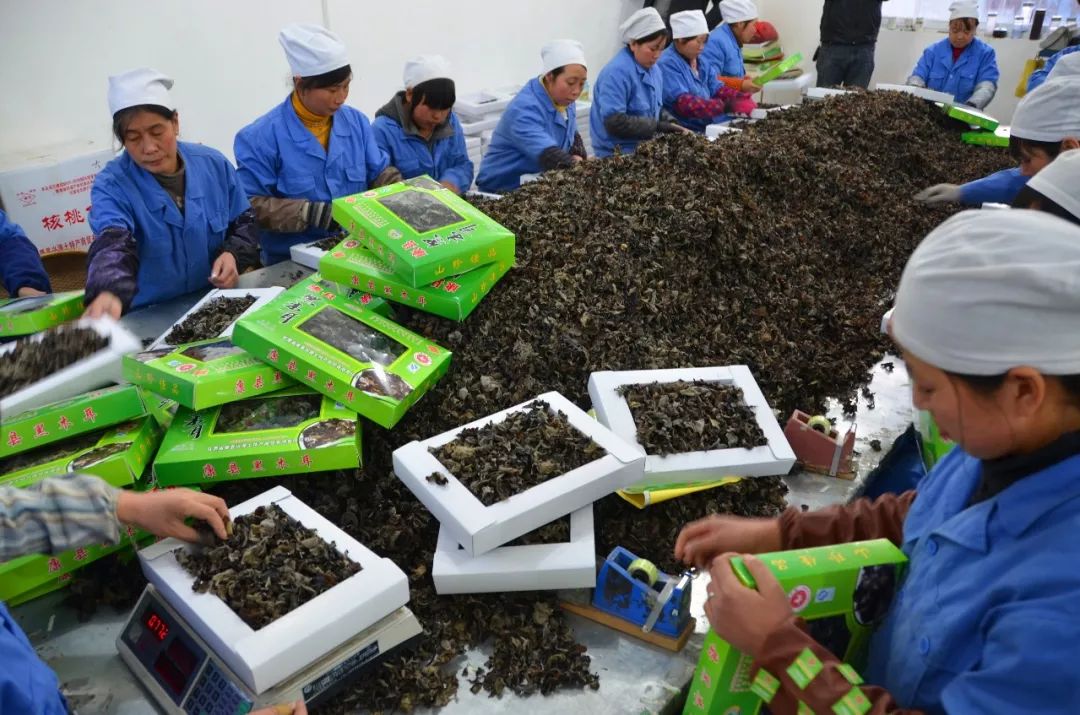 康县县城,过去的康县