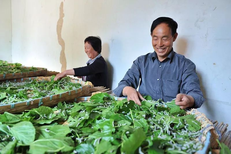 康县县城,过去的康县