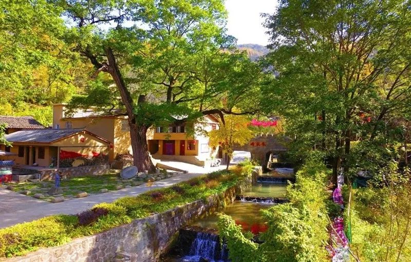 康县县城,过去的康县