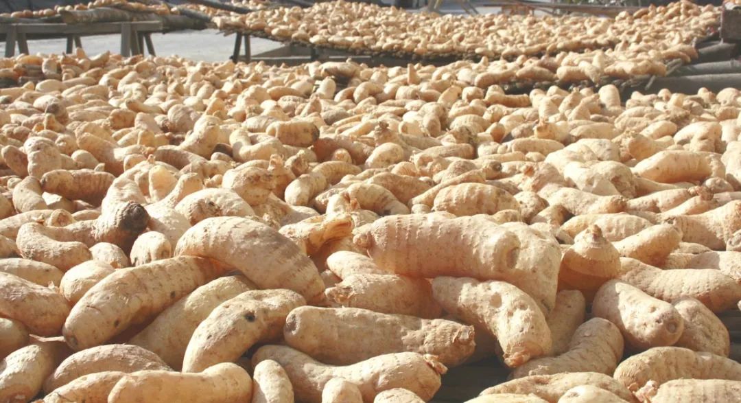 康县县城,过去的康县