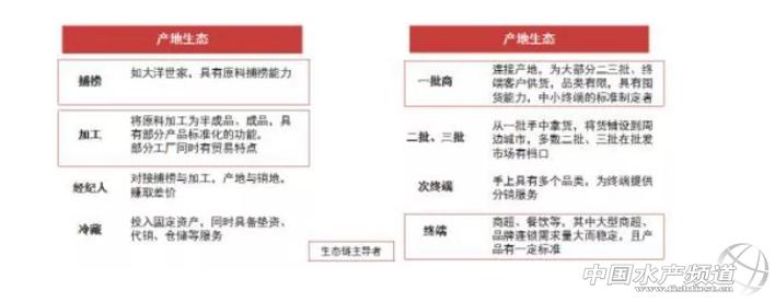 牛！“华采找鱼”累计交易额超70亿！CEO张富在做什么？