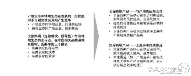 牛！“华采找鱼”累计交易额超70亿！CEO张富在做什么？