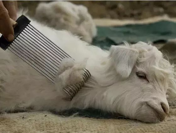 换季买衣服冷知识,买衣服都要知道的冷知识