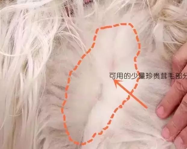 换季买衣服冷知识,买衣服都要知道的冷知识