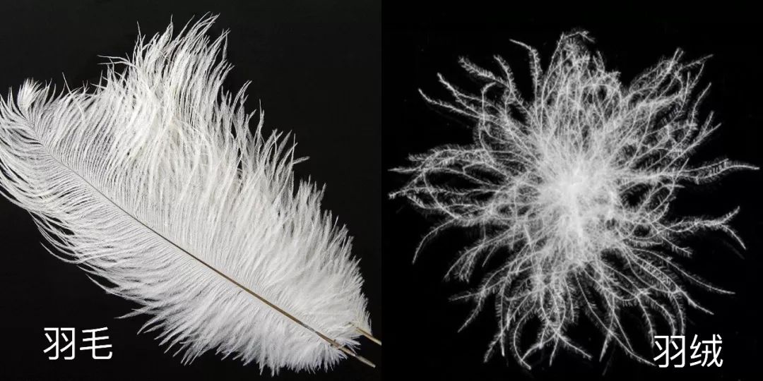 换季买衣服冷知识,买衣服都要知道的冷知识