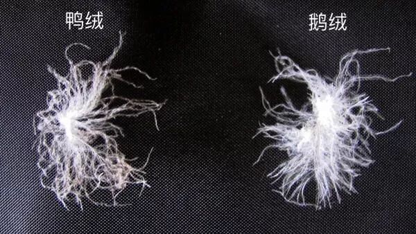 换季买衣服冷知识,买衣服都要知道的冷知识