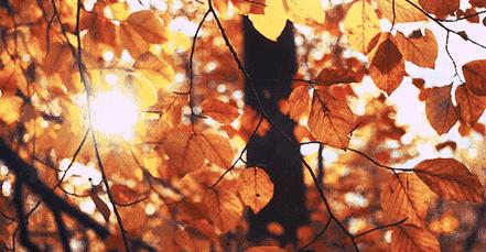 太撩人的性冷淡！用了这个高颜值好物，我连1000块的香水都弃了