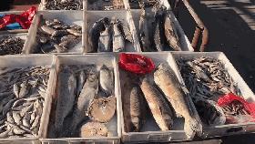 黑河低温冷库,东北最冷黑河早市冻货