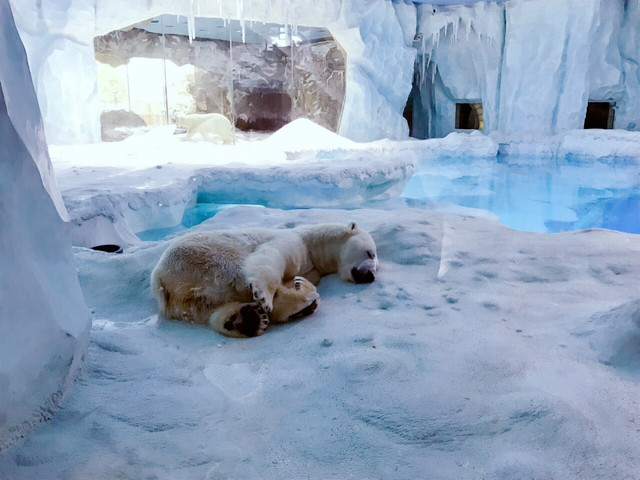 长隆珠海海洋王国网红打卡,珠海长隆海洋王国哪里买门票便宜
