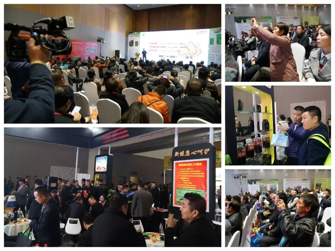 4月面市，推广面积光速破10万亩：又一科技新品火了！