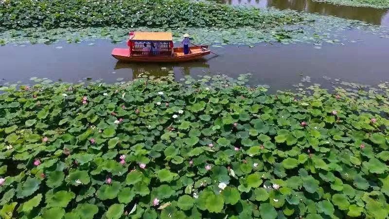 了解下，这家挖煤的中兴公司，是中国民族工业的另一个骄傲！