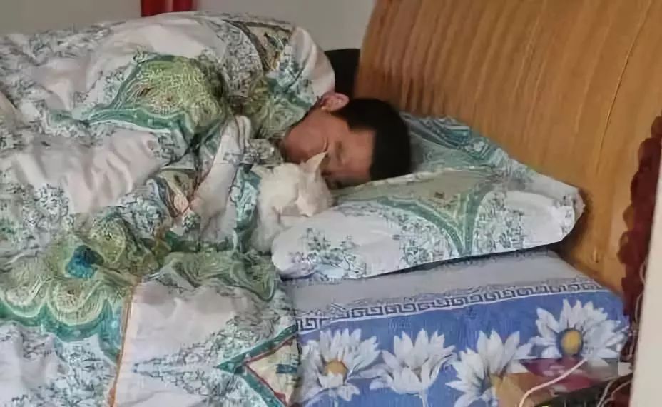 养猫的用处每一个都好硬核 (年轻人养猫和老人养猫的区别)