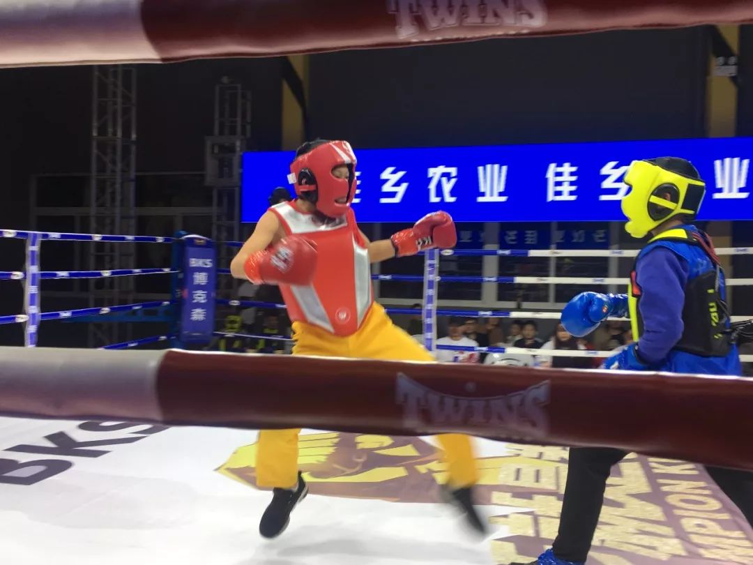 赛法斗攻霸少年高鞭腿美如画功夫全能技大叔佛系开打