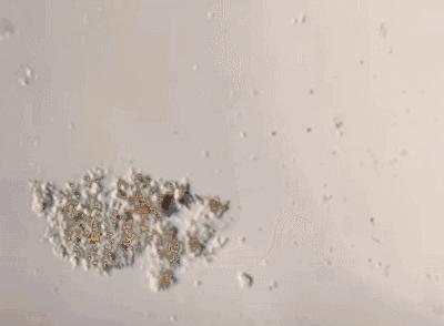 女人的*裤内**,往往暴露出这些问题