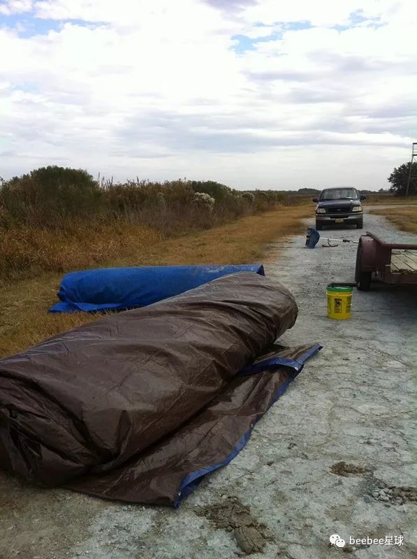 为什么老外都爱死了腾格尔?