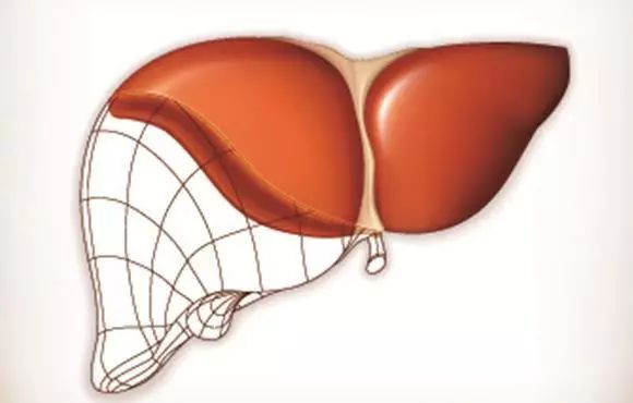 利尿的药怎么用,利尿的中成药配方