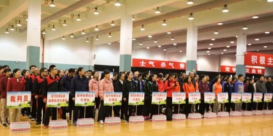 乒乓球热血比赛视频,乒乓球热血比赛