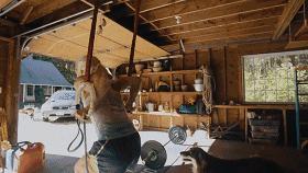 她50岁练瑜伽如今仍然美如花,45岁女人做的变年轻最基础的瑜伽