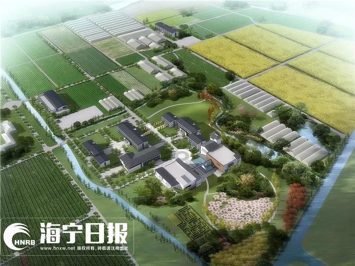 海宁下沙网红乐园,海宁下沙好玩的游乐场