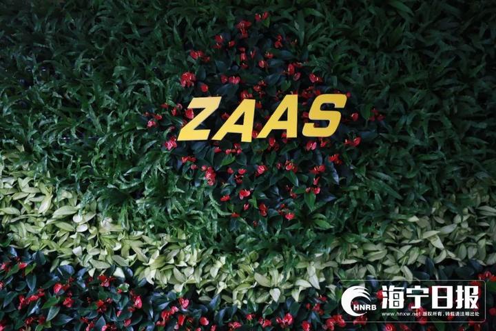 海宁下沙网红乐园,海宁下沙好玩的游乐场