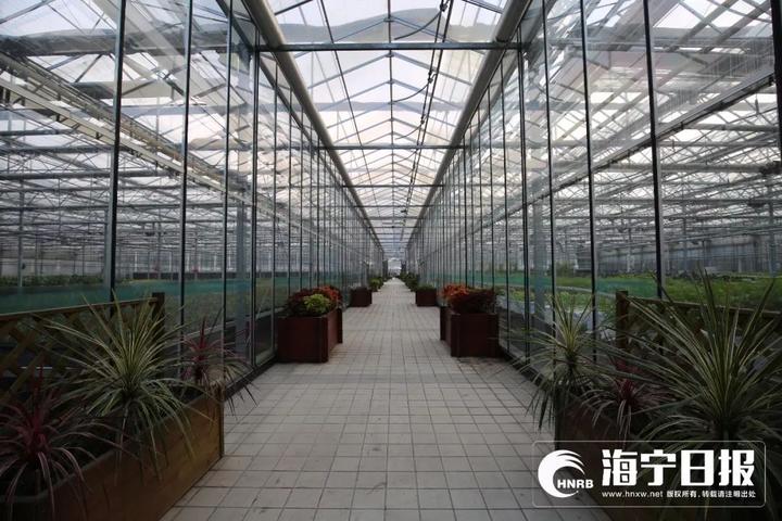 海宁下沙网红乐园,海宁下沙好玩的游乐场