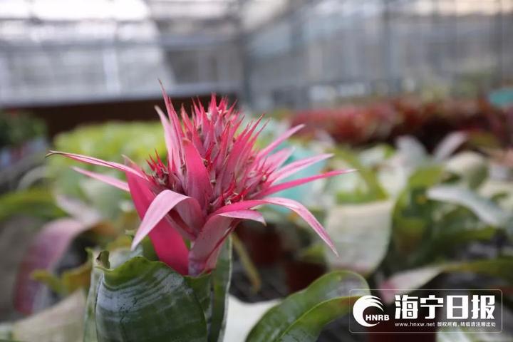 海宁下沙网红乐园,海宁下沙好玩的游乐场