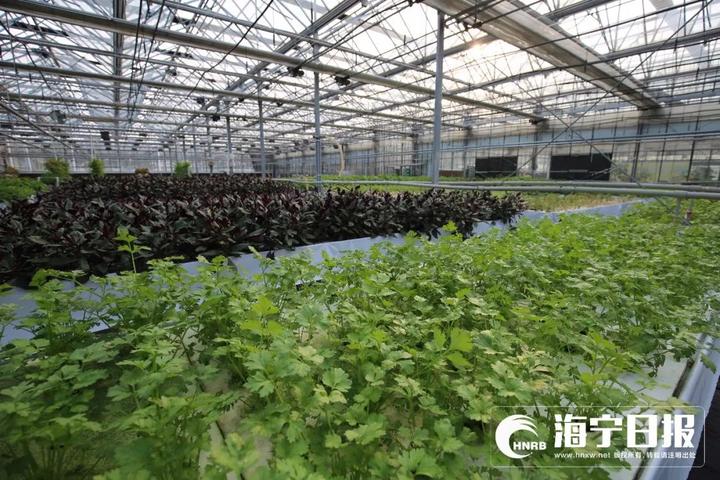 海宁下沙网红乐园,海宁下沙好玩的游乐场