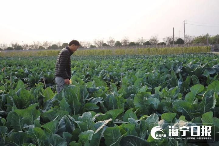 海宁下沙网红乐园,海宁下沙好玩的游乐场