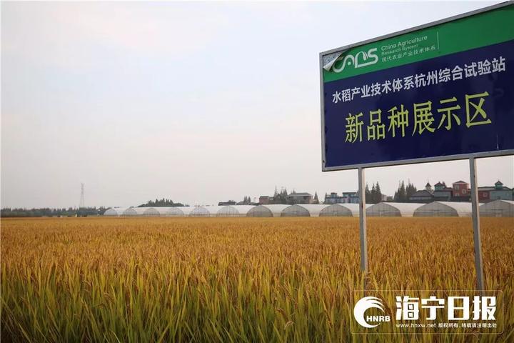 海宁下沙网红乐园,海宁下沙好玩的游乐场