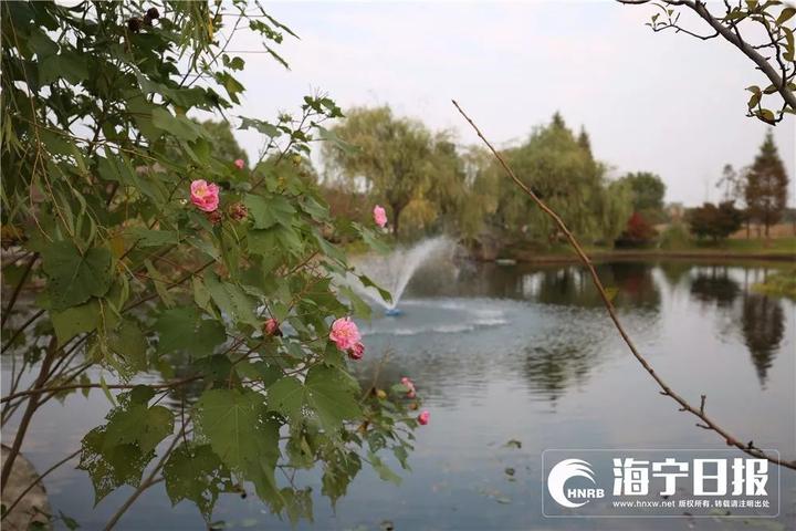 海宁下沙网红乐园,海宁下沙好玩的游乐场