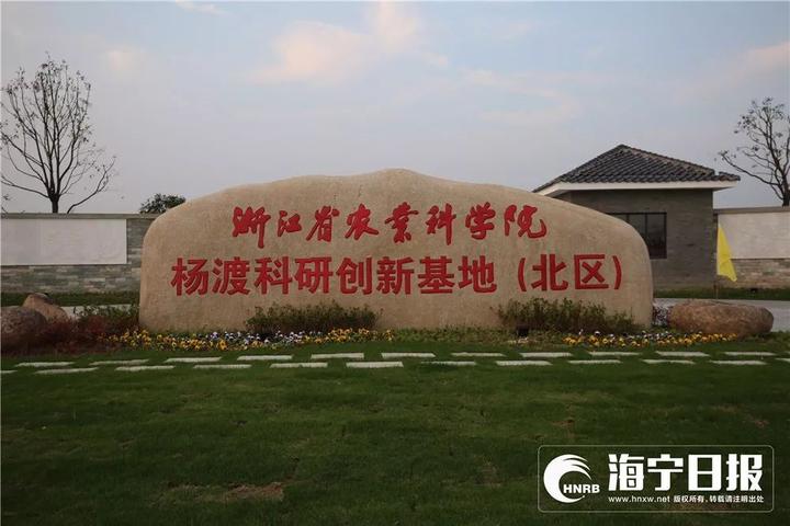 海宁下沙网红乐园,海宁下沙好玩的游乐场