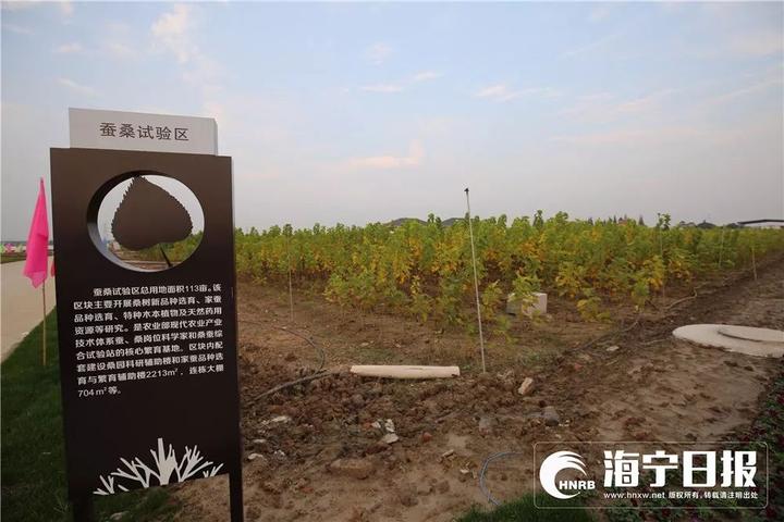 海宁下沙网红乐园,海宁下沙好玩的游乐场