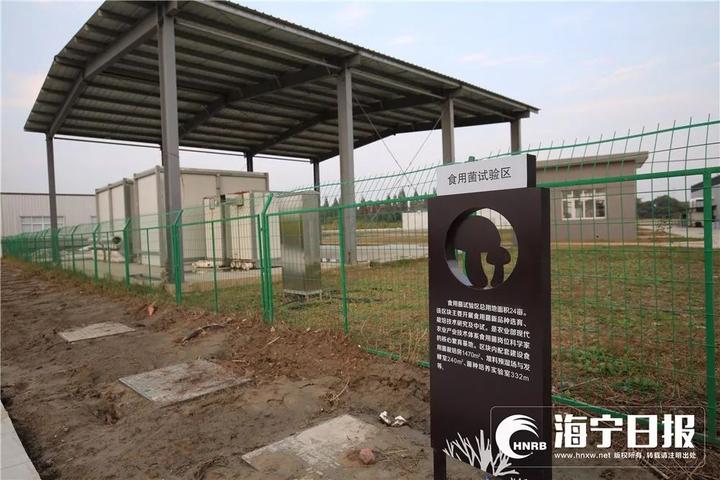 海宁下沙网红乐园,海宁下沙好玩的游乐场